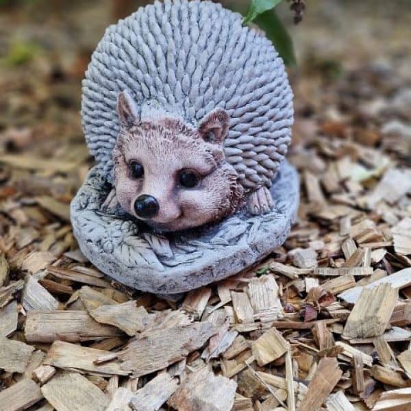 Stunning Spike Hedgehog