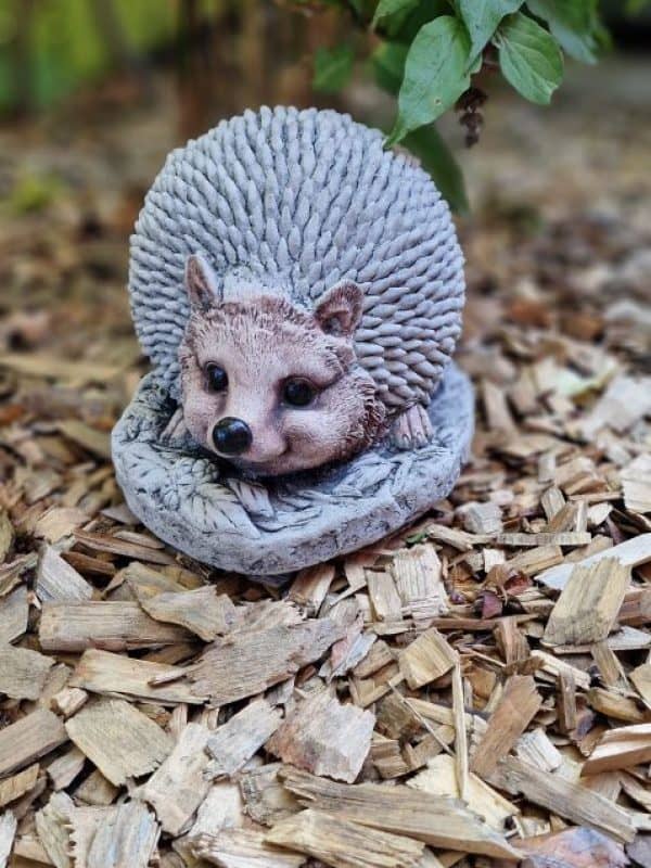 Stunning Spike Hedgehog